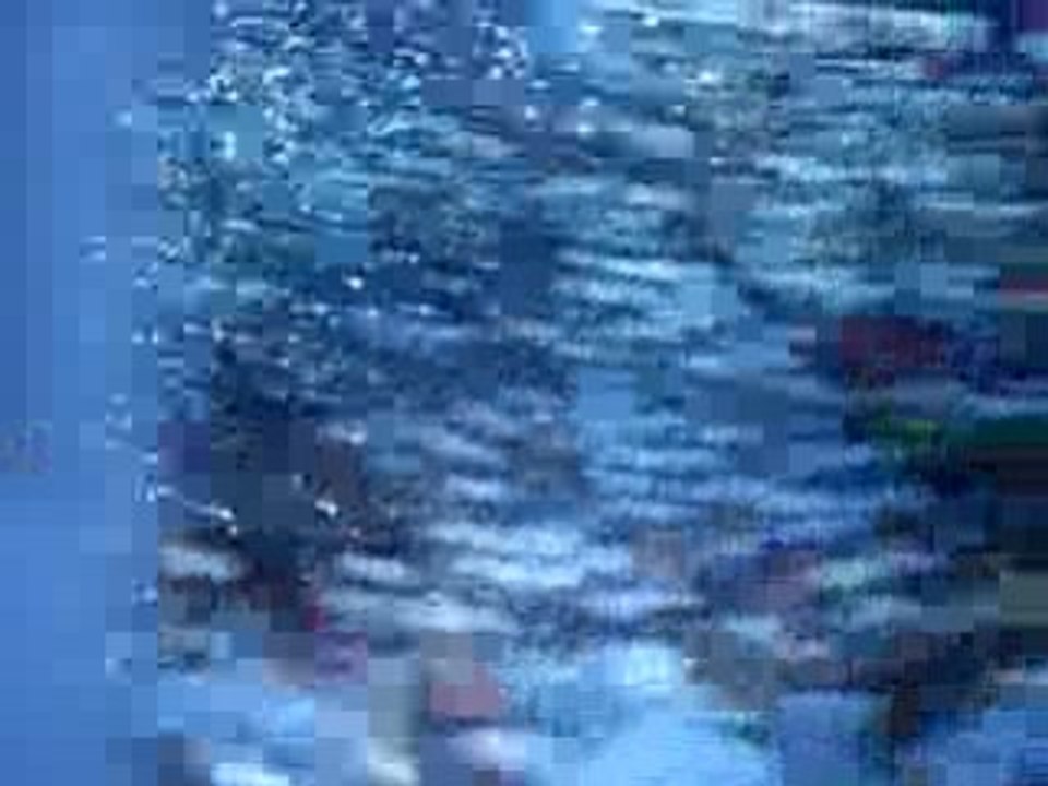 Ich Bin Da Avec Les Confettis Le 9 Mars