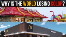 Why Is The World Losing Color-