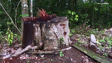 Les relations entre l'UE et le Brésil vont changer après la victoire de Lula, selon un expert