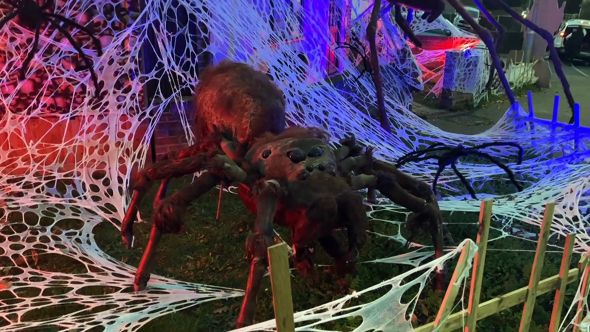 Medway house taken over by enormous spider for halloween