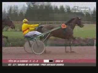 Maure De Bretagne - Prix Voyages Bourée 2008