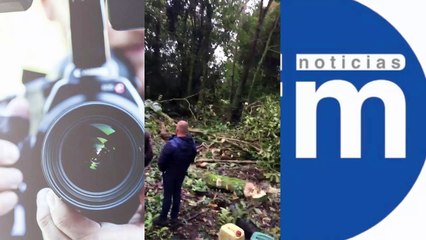 (DENUNCIA) Bosque «El Barranquero» está siendo destruido en Salento