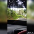jalanan pegunungan Gunung Kawi