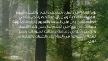 تفسير رؤية الغابة في المنام وحلم المشي في الغابة