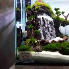 Waterfall aquascape