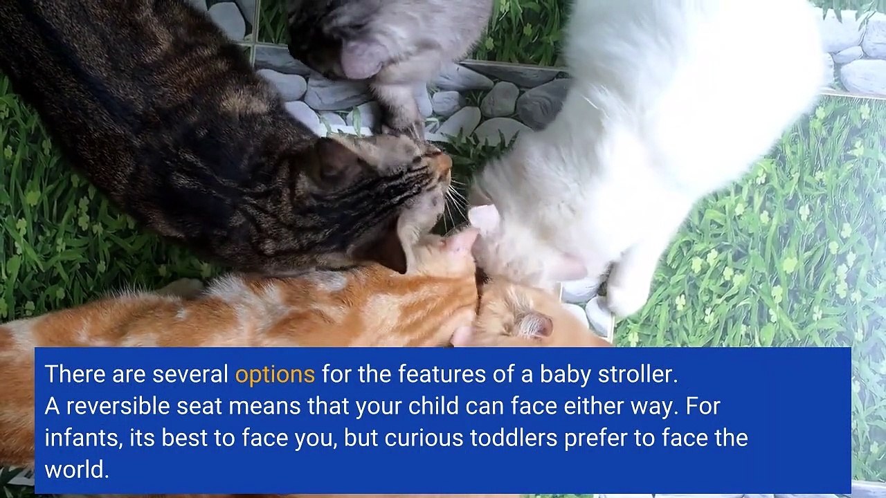How to Select a Baby Stroller