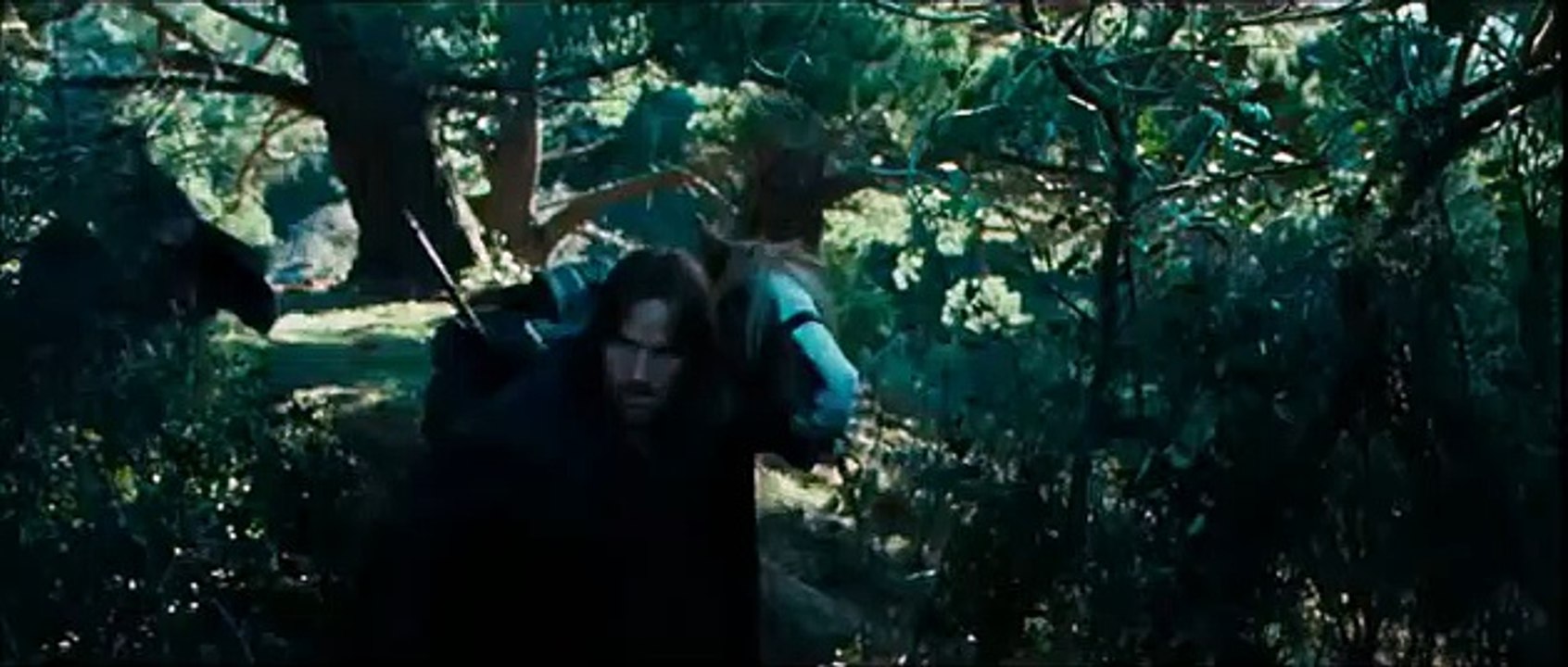 LOTR The Fellowship of the Ring - Extended Edition - Into the Wild