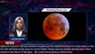 How to See the Election Day 'Blood Moon' Total Lunar Eclipse on Nov. 8 - 1BREAKINGNEWS.COM