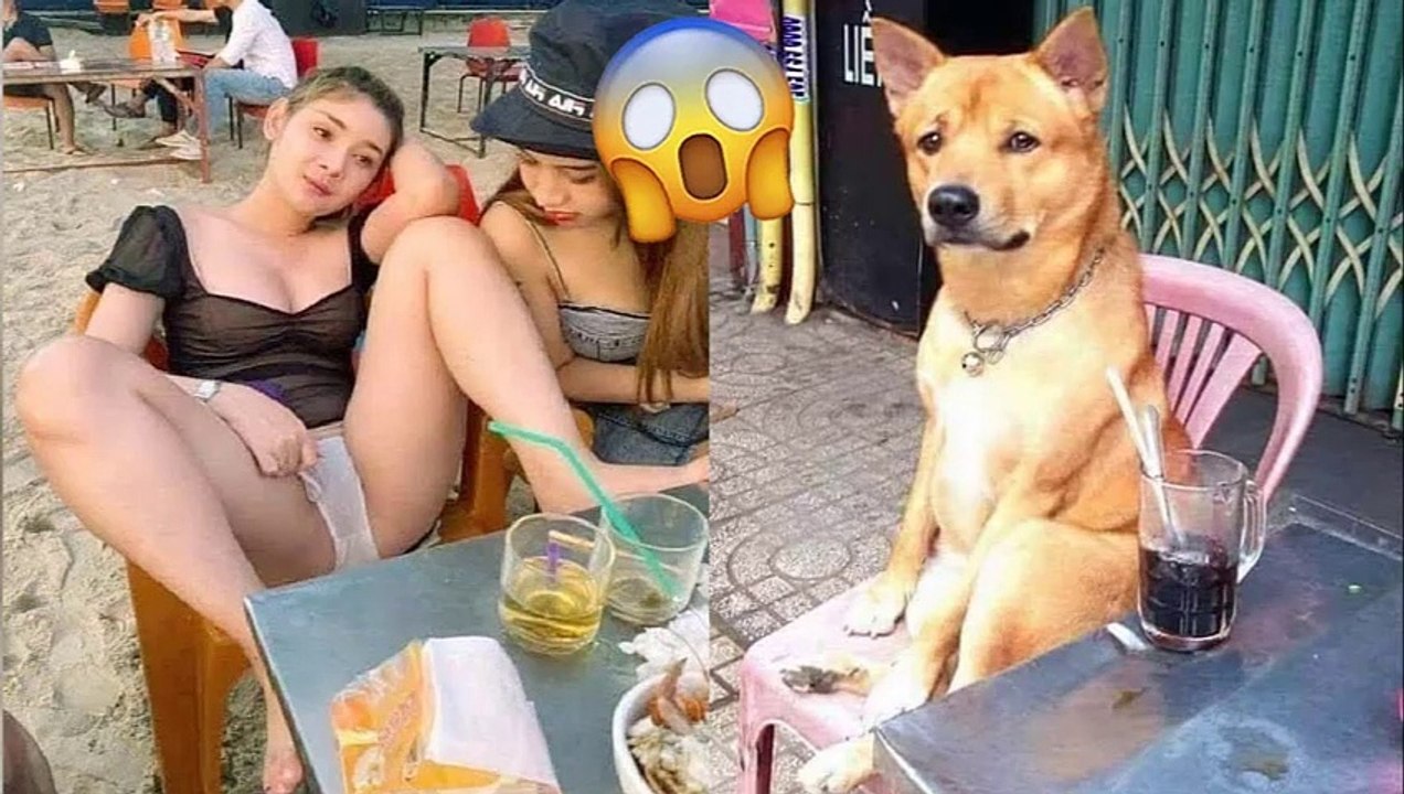 EXTREME Try Not To Laugh