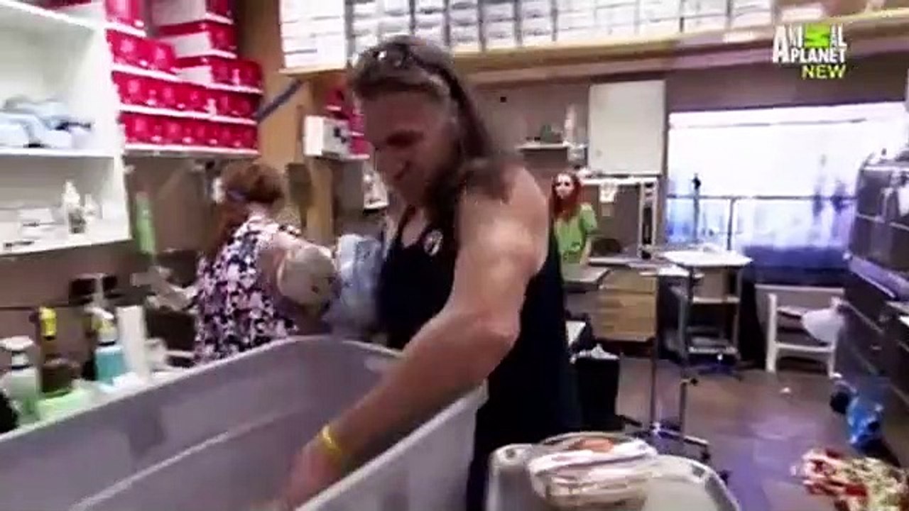 Dr. Jeff - Rocky Mountain Vet - Se1 - Ep02 HD Watch HD Deutsch