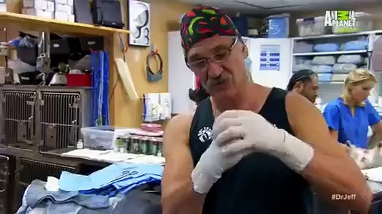Dr. Jeff - Rocky Mountain Vet - Se1 - Ep05 HD Watch HD Deutsch