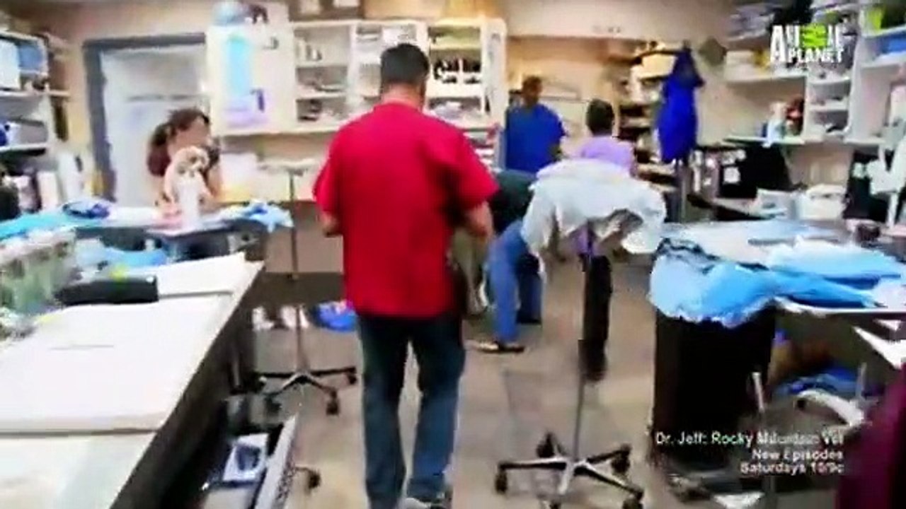 Dr. Jeff - Rocky Mountain Vet - Se1 - Ep03 HD Watch HD Deutsch