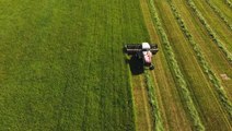 Climate change may slow down crop production as early as 2030, report says