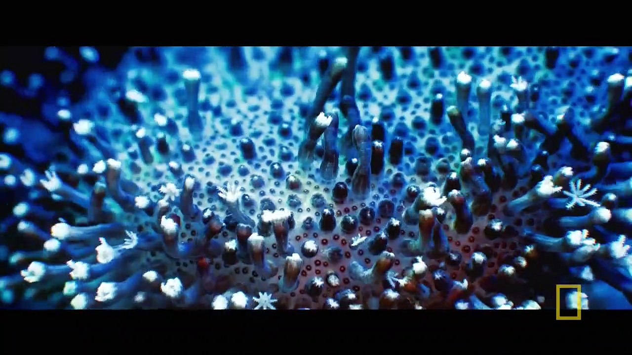 Cosmos - Possible Worlds - Se1 - Ep10 HD Watch HD Deutsch