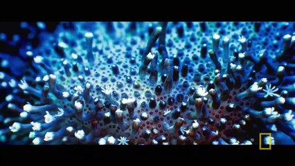 Cosmos - Possible Worlds - Se1 - Ep10 HD Watch HD Deutsch