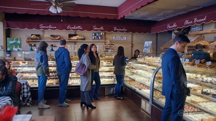 Emergence - Se1 - Ep08 - American Chestnut HD Watch HD Deutsch