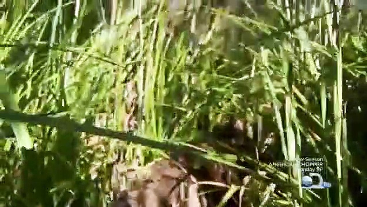 Surviving the Cut - Ep06 HD Watch HD Deutsch