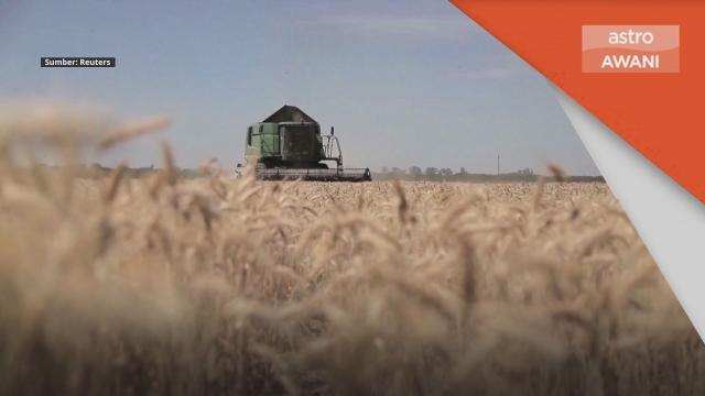 Eksport Bijirin | Rusia sedia ganti Ukraine jadi pembekal utama di dunia