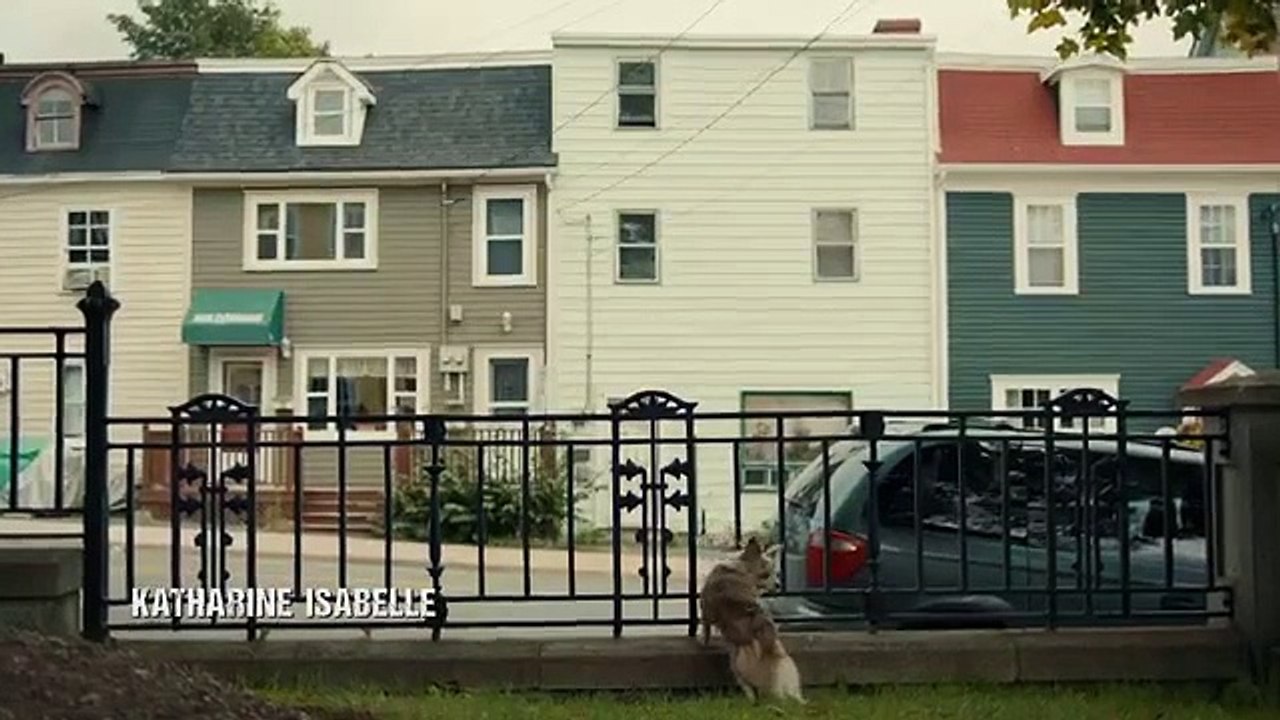 Little Dog - Se1 - Ep05 HD Watch HD Deutsch