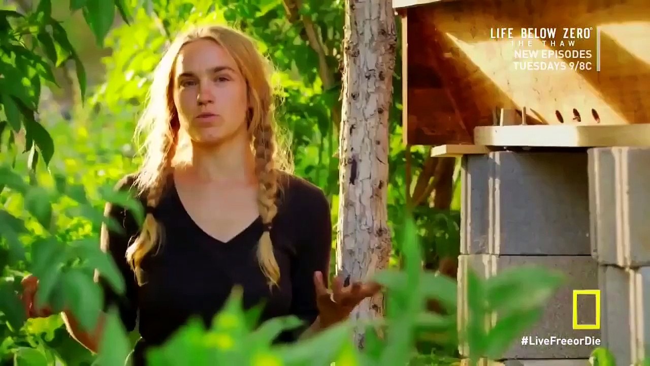 Live Free or Die - Se1 - Ep07 - The Bears and the Bees HD Watch HD Deutsch