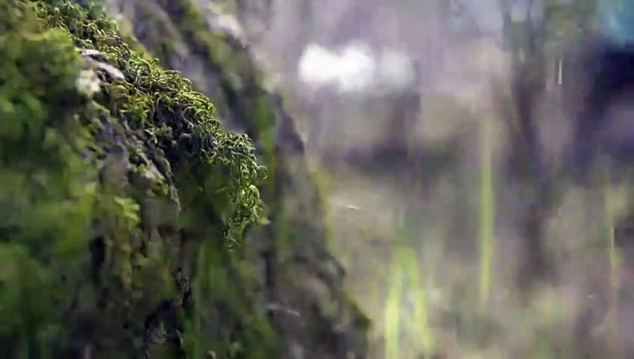 The Face of Evil - Se1 - Ep01 HD Watch HD Deutsch