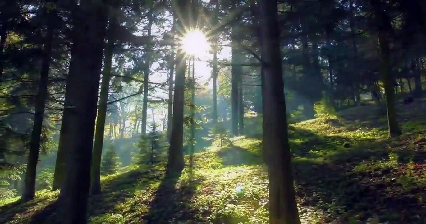 The Last Czars - Se1 - Ep02 HD Watch HD Deutsch