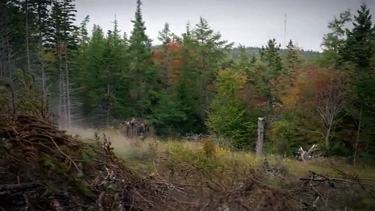 These Woods Are Haunted - Se3 - Ep05 I See It Landing in Our Backyard and I Was Trapped HD Watch HD Deutsch