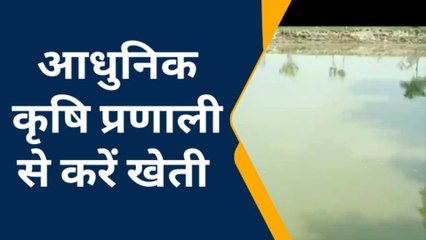 बक्सर: उत्तमपुर गांव के किसान मछली पालन से कर रहे आर्थिक उन्नति
