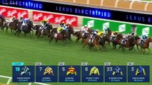 Gold Trip wins the 2022 Melbourne Cup