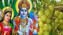 Amla Navami 2022 : आंवला नवमी क्यों मनाई जाती है । Amla Navami Kyu Manayi Jati Hai । *Religious