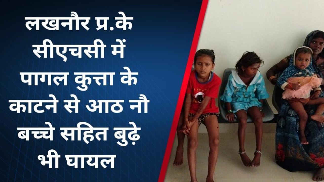 मधुबनी: पागल कुत्ते का आतंक, आठ पर किया हमला