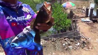 Mancing Ikan Krapuh Di Waktu Air Laut Pasang ( Asal Mancing )