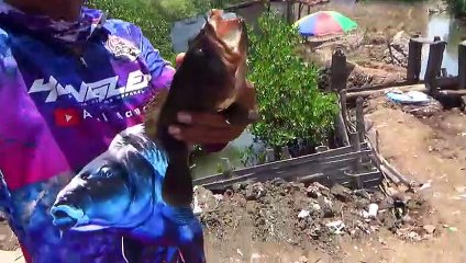 Mancing Ikan Krapuh Di Waktu Air Laut Pasang ( Asal Mancing )