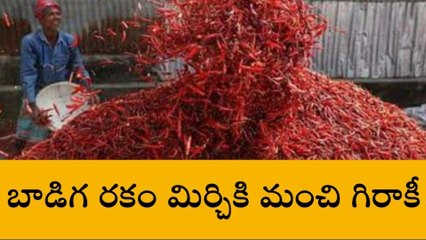 గుంటూరు జిల్లా: బాడిగ మిర్చికి భలే గిరాకీ