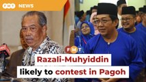 Umno’s Razali Ibrahim expected to be fielded against Muhyiddin in Pagoh