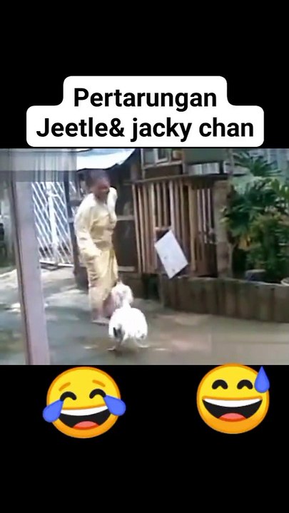 Funny moment videos