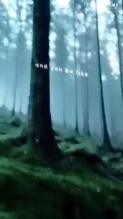 body light weight song lyrics #song #music