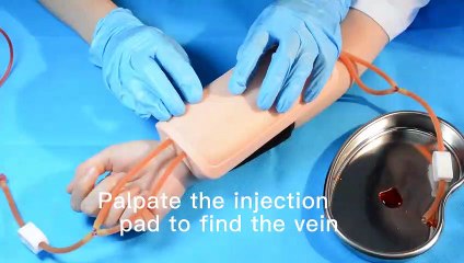 Wearable IV & Phlebotomy Practice Pad Kit for Nursing Skills Training