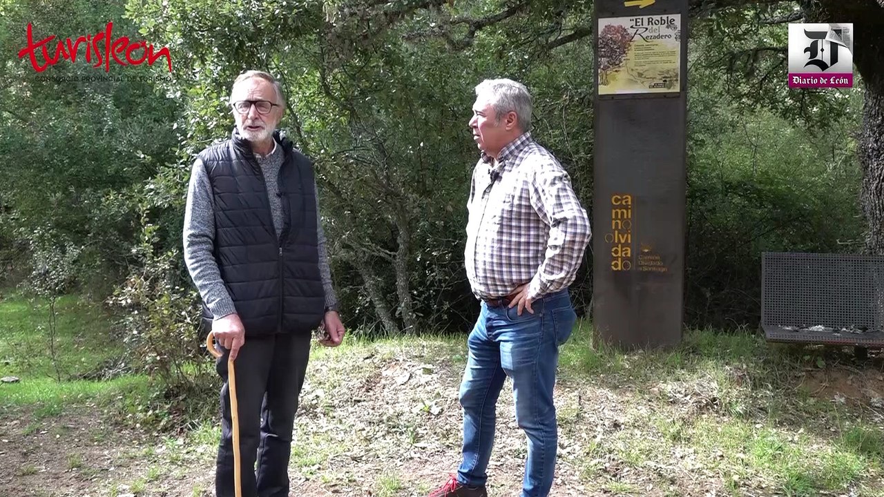 Camino Olvidado- La Ercina