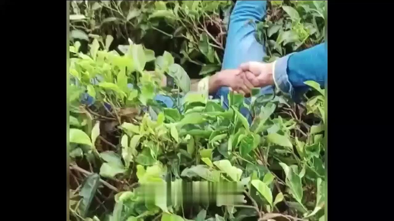 Video lucu warga +62 Bikin sakit perut.