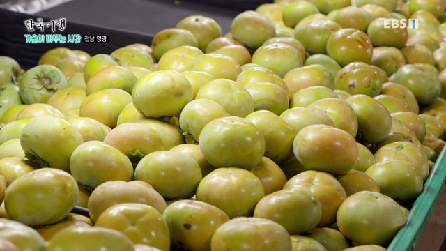 한국기행 - Korea travel_가을이 머무는 시간 2부- 과수원집 삼대 가족_#002