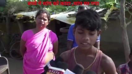 बच्चे ने सांप को काटा ,सांप मर गया