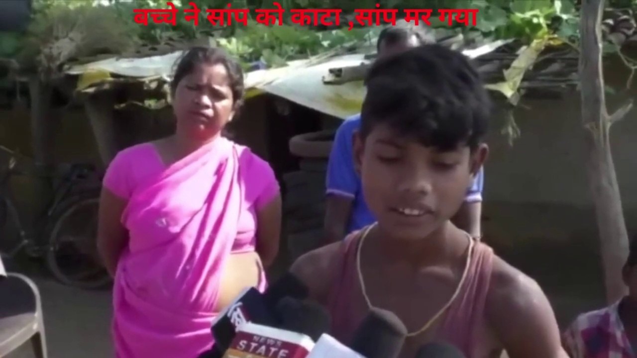 बच्चे ने सांप को काटा ,सांप मर गया