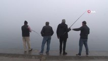 Olta balıkçıları sisli havada 'rastgele' dedi