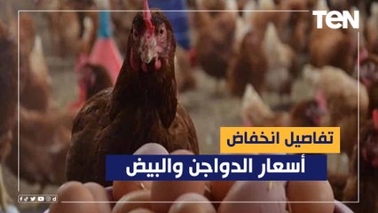 تفاصيل انخفاض أسعار الدواجن والبيض