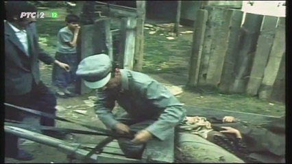 Ovo malo duše (1987)