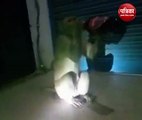 Video: रायबरेली का शराबी बंदर, ठेके पर खड़े लोगों से बोतल छीन पीता है शराब