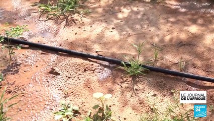 Niger : une ferme connectée pour limiter le gaspillage de l'eau