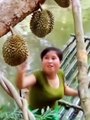 Mendem Duren #shorts #cringe #meme #tiktok #funnyvideos #videolucuterbaru #lol #exe #failarmy #instantkarma