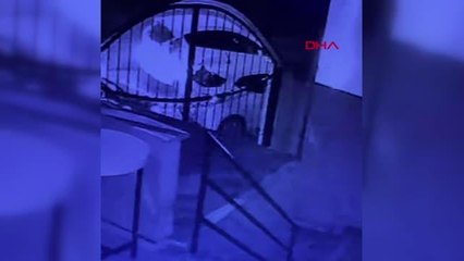 ŞİŞLİ'DE "KADIN KAÇIRMA" CİNAYETİNİN GÖRÜNTÜLERİ ORTAYA ÇIKTI